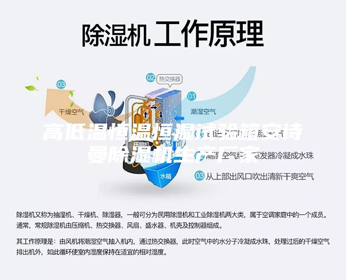 高低溫恒溫恒濕試驗(yàn)箱安詩(shī)曼除濕機(jī)生產(chǎn)廠家