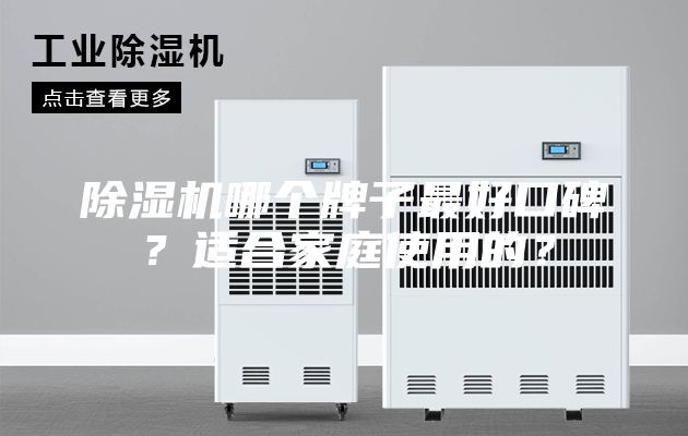 除濕機(jī)哪個(gè)牌子最好口碑？適合家庭使用的？