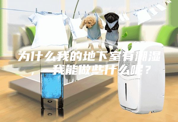 為什么我的地下室有潮濕， 我能做些什么呢？