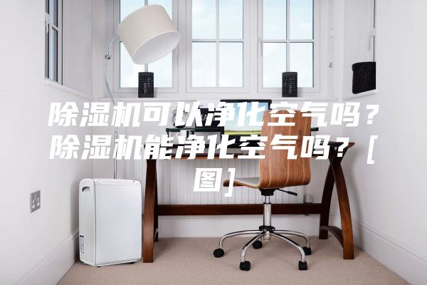 除濕機(jī)可以凈化空氣嗎？除濕機(jī)能凈化空氣嗎？[圖]