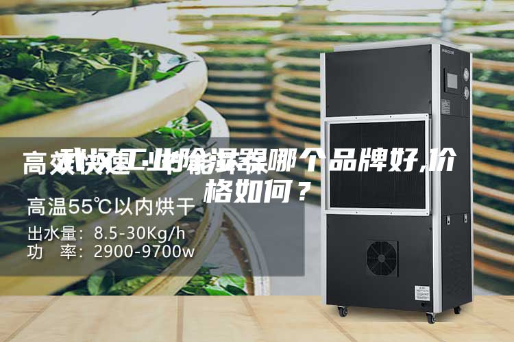 武漢工業(yè)除濕器哪個(gè)品牌好,價(jià)格如何？