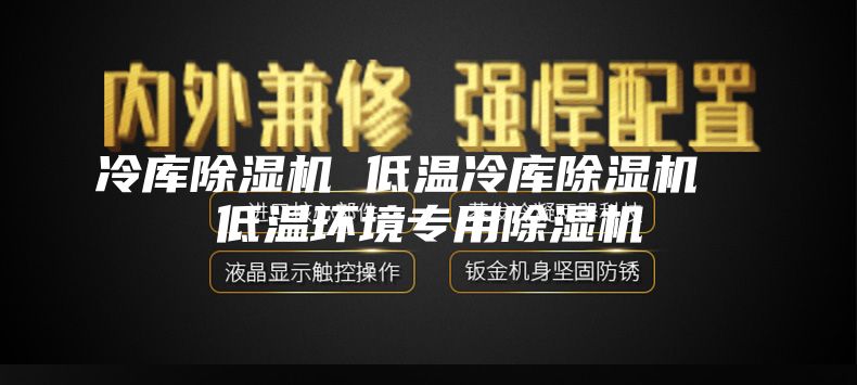 冷庫除濕機(jī) 低溫冷庫除濕機(jī)  低溫環(huán)境專用除濕機(jī)