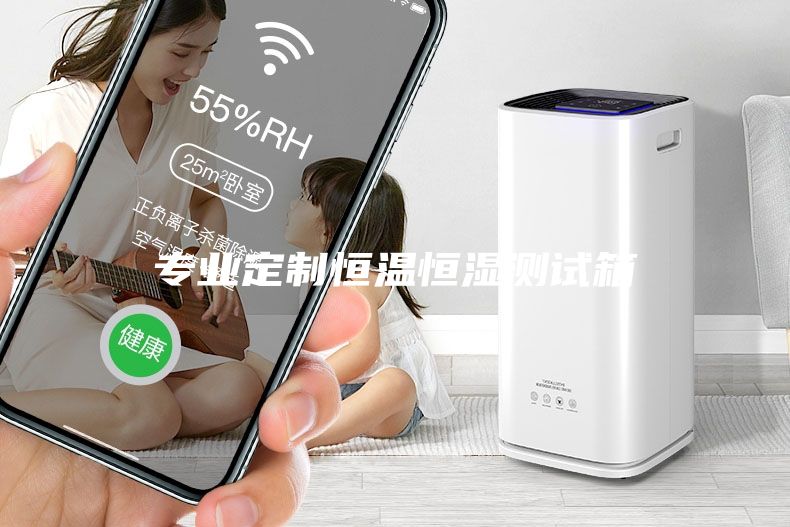 專業(yè)定制恒溫恒濕測試箱