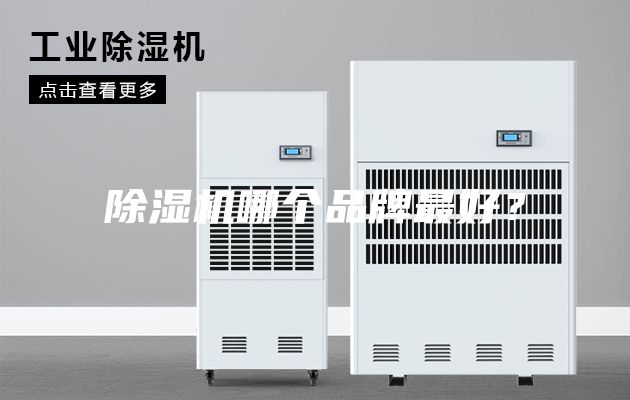 除濕機(jī)哪個(gè)品牌最好？