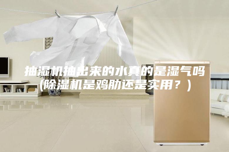 抽濕機(jī)抽出來的水真的是濕氣嗎(除濕機(jī)是雞肋還是實(shí)用？)