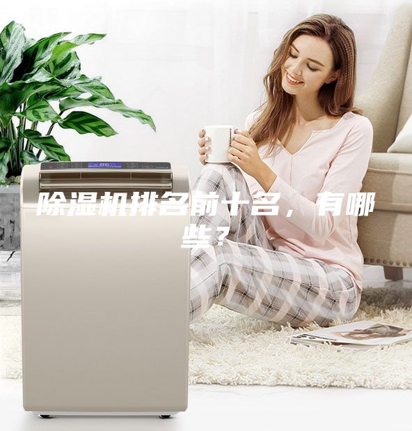 除濕機排名前十名，有哪些？