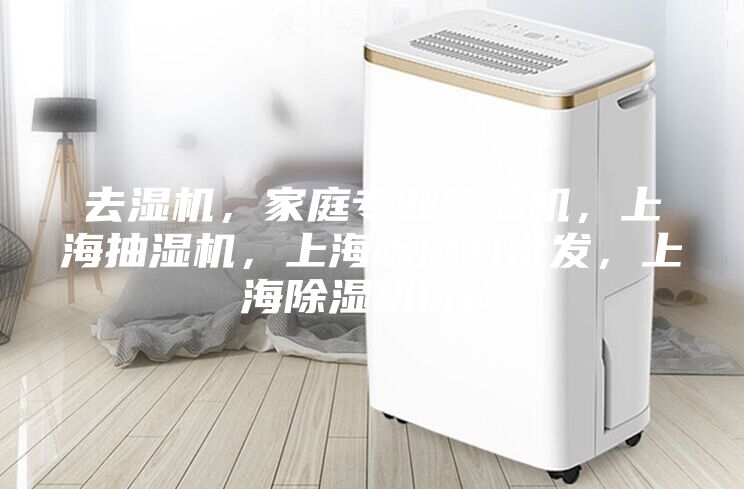 去濕機，家庭專業(yè)除濕機，上海抽濕機，上海除濕機批發(fā)，上海除濕機價錢