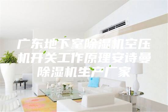 廣東地下室除濕機(jī)空壓機(jī)開關(guān)工作原理安詩(shī)曼除濕機(jī)生產(chǎn)廠家