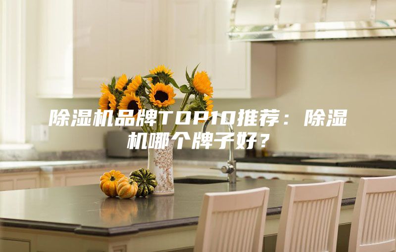除濕機(jī)品牌TOP10推薦：除濕機(jī)哪個(gè)牌子好？