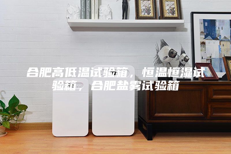 合肥高低溫試驗(yàn)箱，恒溫恒濕試驗(yàn)箱，合肥鹽霧試驗(yàn)箱