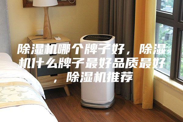 除濕機(jī)哪個(gè)牌子好，除濕機(jī)什么牌子最好品質(zhì)最好，除濕機(jī)推薦