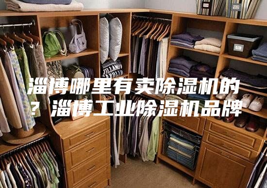 淄博哪里有賣除濕機(jī)的？淄博工業(yè)除濕機(jī)品牌