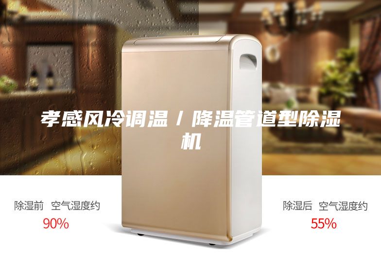 孝感風冷調(diào)溫／降溫管道型除濕機