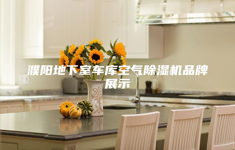 濮陽(yáng)地下室車庫(kù)空氣除濕機(jī)品牌展示