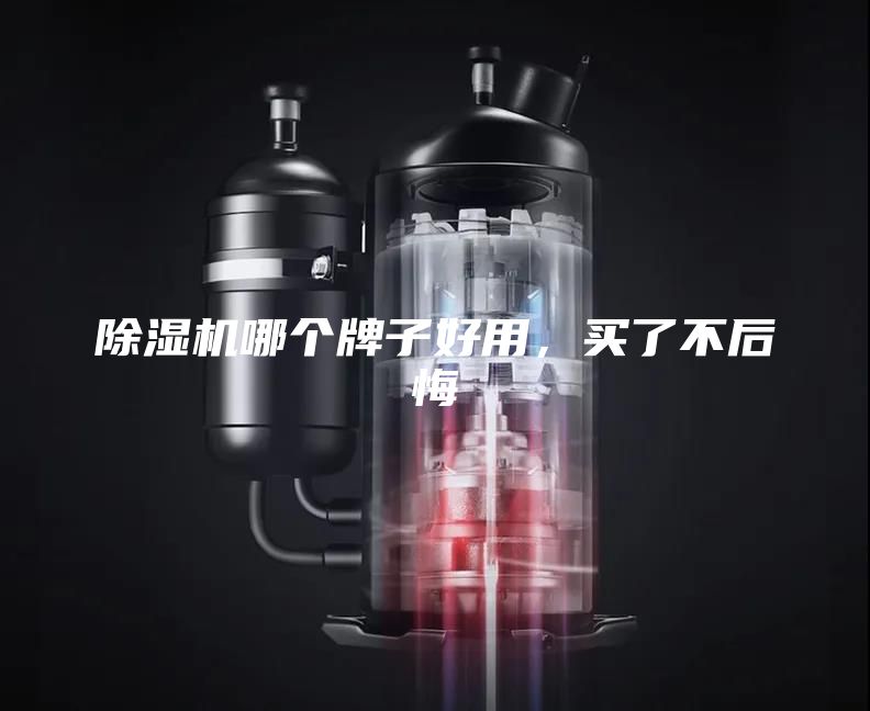除濕機(jī)哪個(gè)牌子好用，買(mǎi)了不后悔