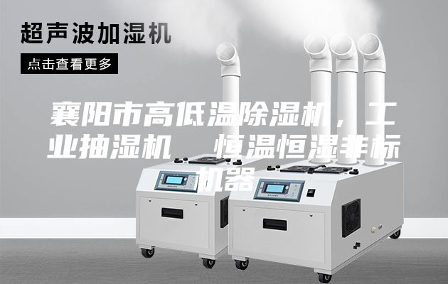 襄陽市高低溫除濕機(jī)，工業(yè)抽濕機(jī)  恒溫恒濕非標(biāo)機(jī)器