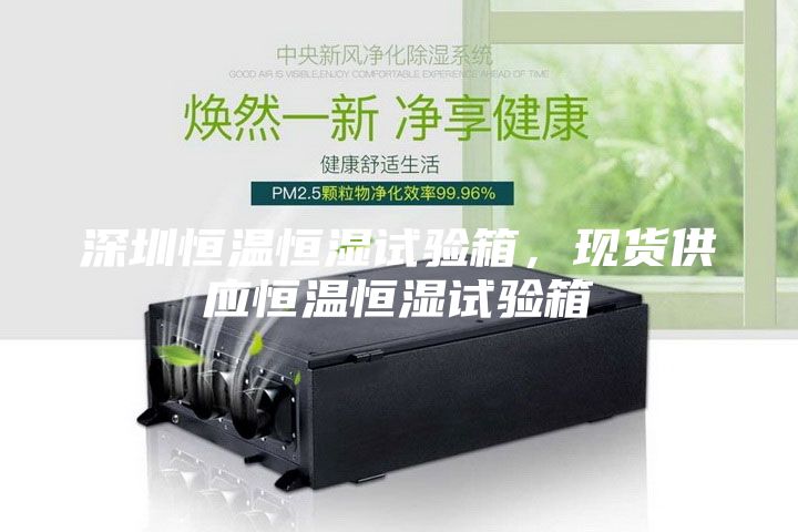 深圳恒溫恒濕試驗(yàn)箱，現(xiàn)貨供應(yīng)恒溫恒濕試驗(yàn)箱