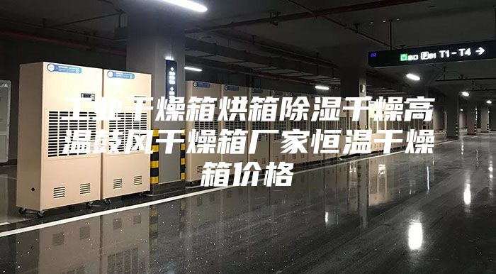 工業(yè)干燥箱烘箱除濕干燥高溫鼓風(fēng)干燥箱廠家恒溫干燥箱價格