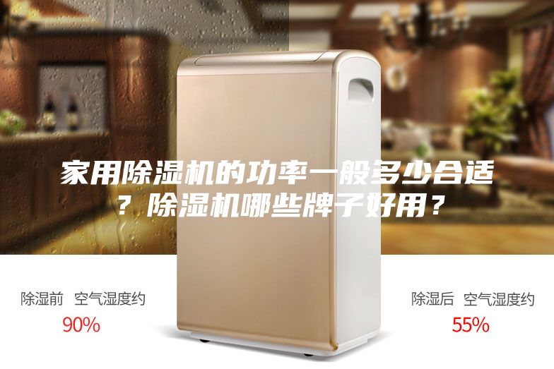 家用除濕機(jī)的功率一般多少合適？除濕機(jī)哪些牌子好用？