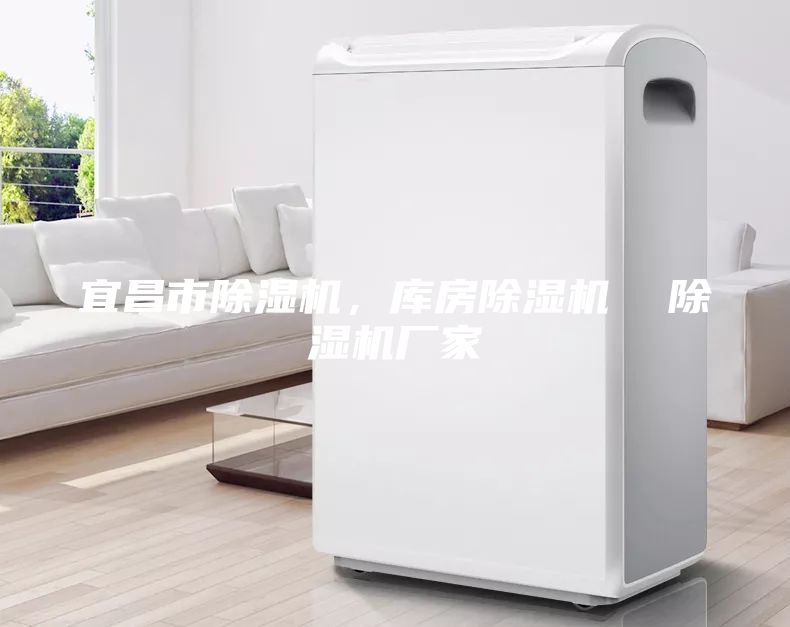宜昌市除濕機(jī)，庫(kù)房除濕機(jī)  除濕機(jī)廠家