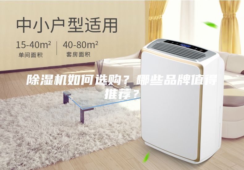 除濕機(jī)如何選購(gòu)？哪些品牌值得推薦？