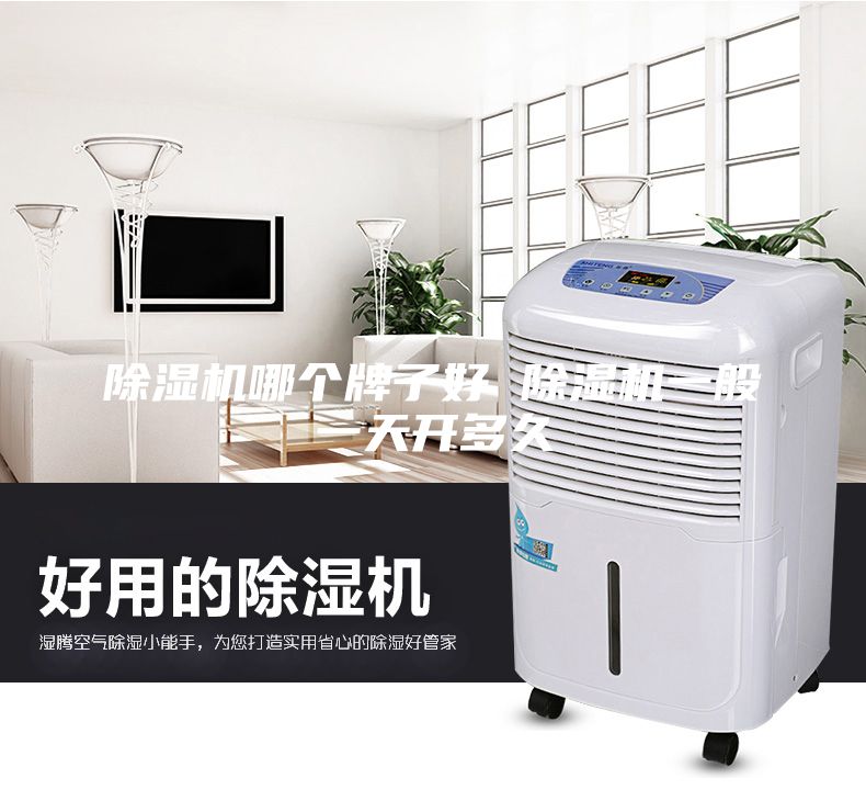 除濕機(jī)哪個牌子好 除濕機(jī)一般一天開多久