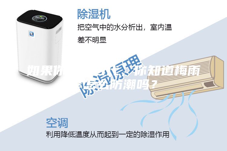 如果你生在古代，你知道梅雨季怎么防潮嗎？