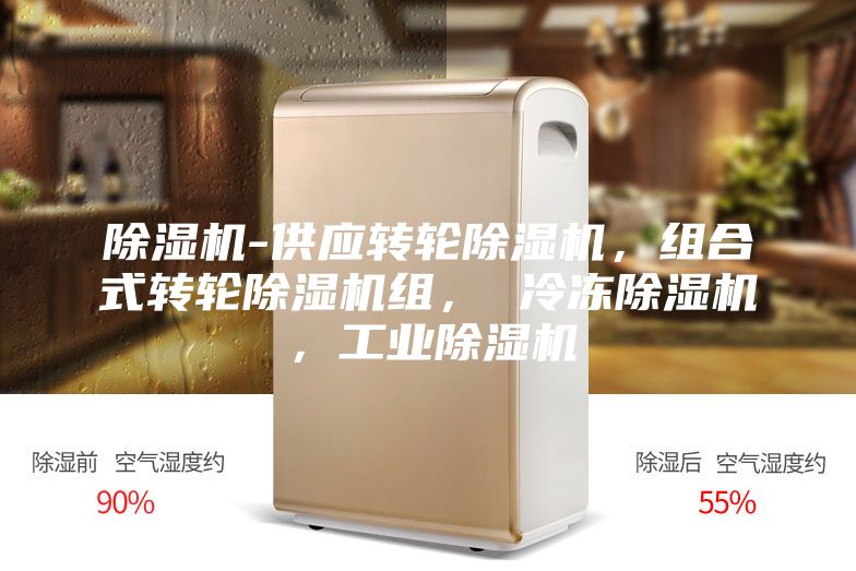 除濕機(jī)-供應(yīng)轉(zhuǎn)輪除濕機(jī)，組合式轉(zhuǎn)輪除濕機(jī)組， 冷凍除濕機(jī)，工業(yè)除濕機(jī)