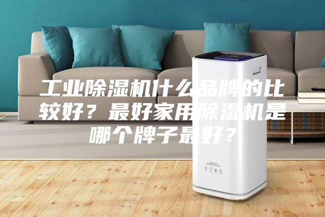 工業(yè)除濕機(jī)什么品牌的比較好？最好家用除濕機(jī)是哪個牌子最好？