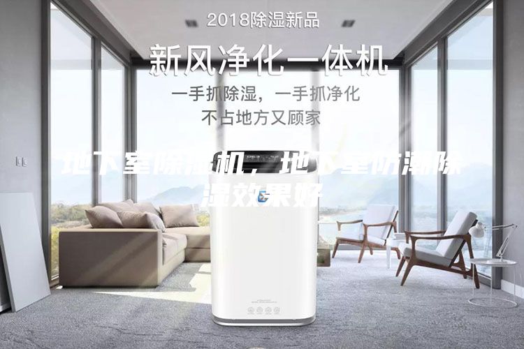 地下室除濕機(jī)，地下室防潮除濕效果好