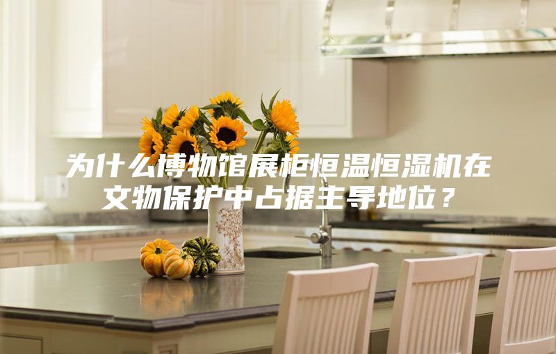 為什么博物館展柜恒溫恒濕機(jī)在文物保護(hù)中占據(jù)主導(dǎo)地位？