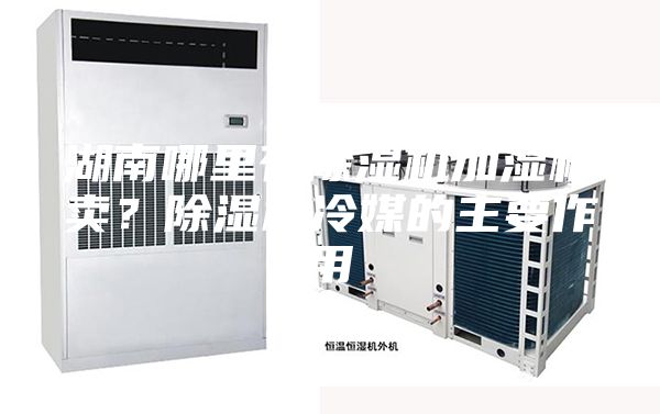 湖南哪里有除濕機加濕機賣？除濕機冷媒的主要作用