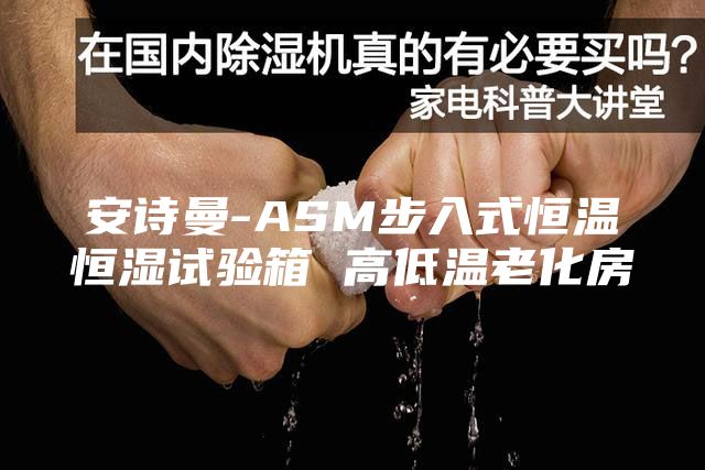 安詩曼-ASM步入式恒溫恒濕試驗箱 高低溫老化房