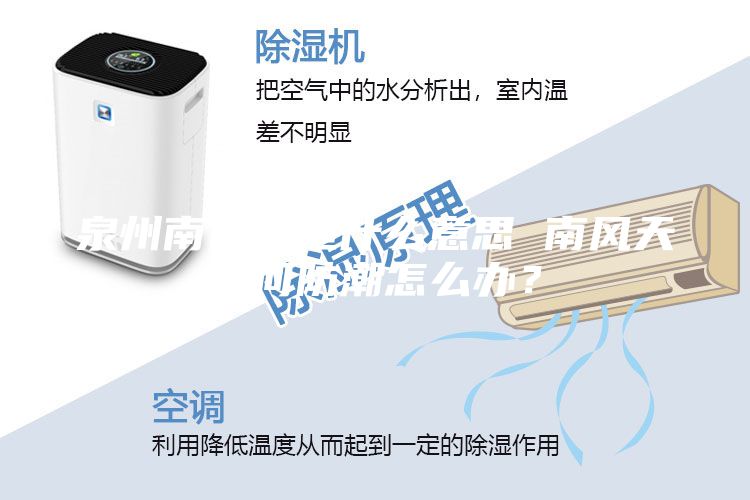 泉州南風(fēng)天是什么意思 南風(fēng)天如何防潮怎么辦？