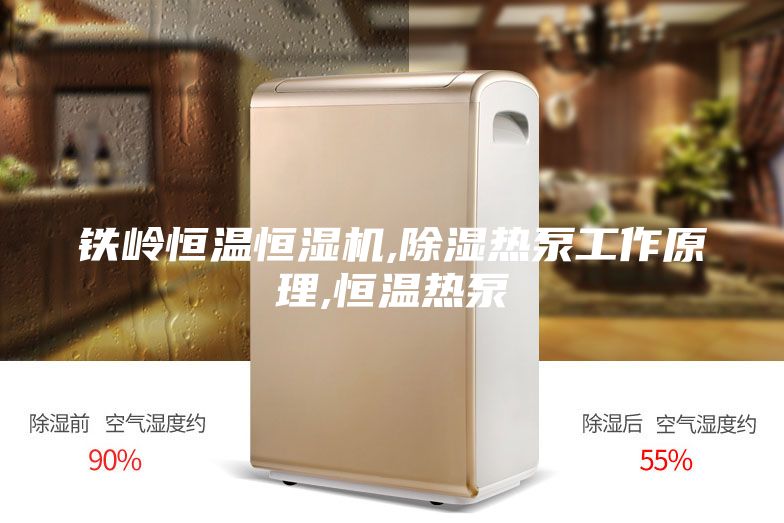 鐵嶺恒溫恒濕機(jī),除濕熱泵工作原理,恒溫?zé)岜?/></p>
                            <p style=