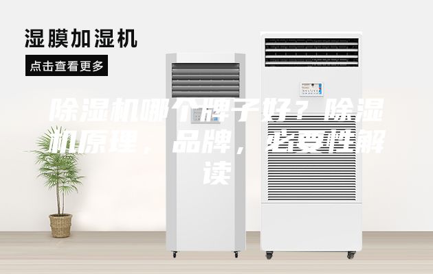 除濕機(jī)哪個(gè)牌子好？除濕機(jī)原理，品牌，必要性解讀