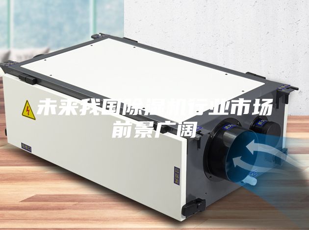 未來我國(guó)除濕機(jī)行業(yè)市場(chǎng)前景廣闊