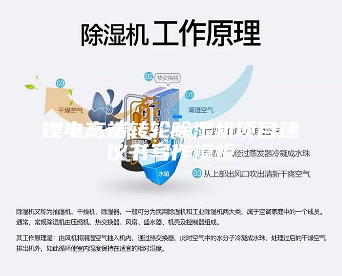鋰電高端轉(zhuǎn)輪除濕機(jī)項(xiàng)目建議書(shū)寫(xiě)作模板