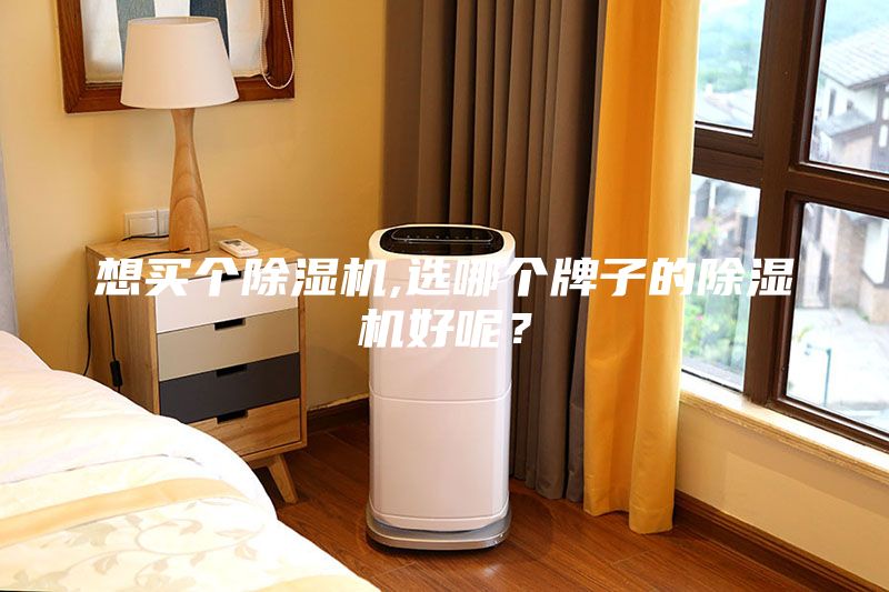 想買個(gè)除濕機(jī),選哪個(gè)牌子的除濕機(jī)好呢？