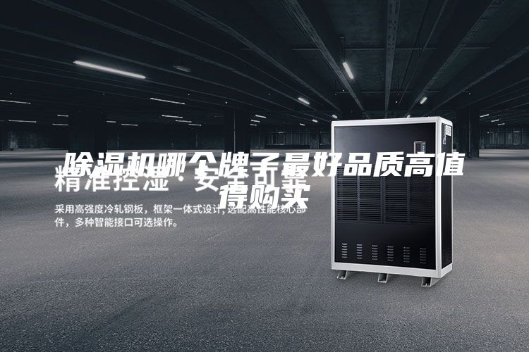 除濕機(jī)哪個(gè)牌子最好品質(zhì)高值得購(gòu)買(mǎi)