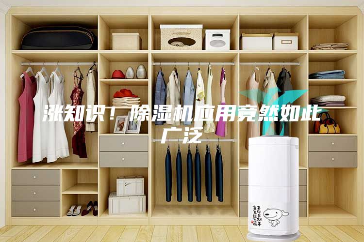 漲知識(shí)！除濕機(jī)應(yīng)用竟然如此廣泛