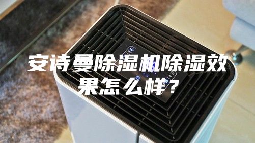 安詩曼除濕機除濕效果怎么樣？