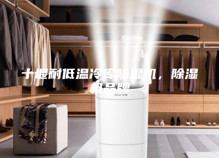 十堰耐低溫冷庫除濕機(jī)，除濕機(jī)品牌