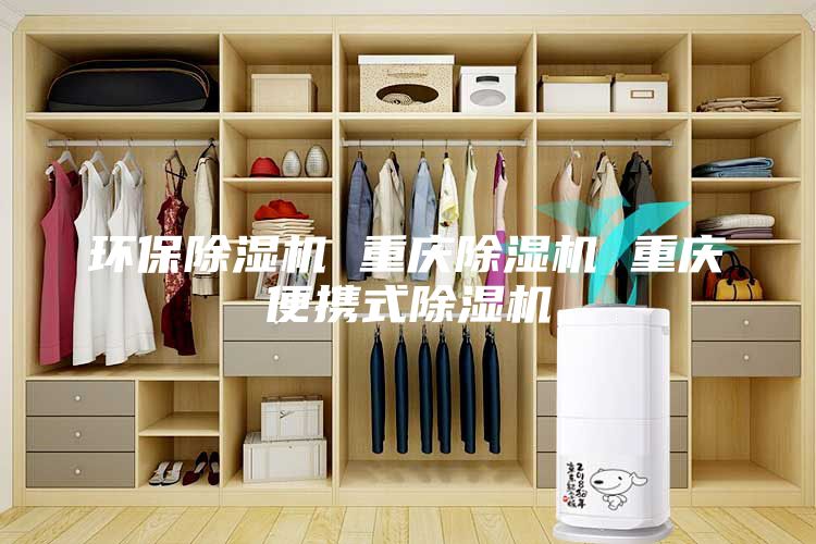 環(huán)保除濕機(jī) 重慶除濕機(jī) 重慶便攜式除濕機(jī)