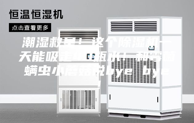 潮濕救星！這個除濕機一天能吸走40瓶水！和霉菌螨蟲小蘑菇說bye bye！