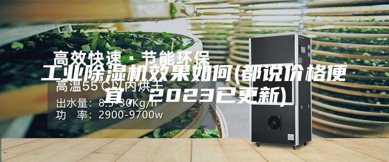 工業(yè)除濕機(jī)效果如何(都說價(jià)格便宜，2023已更新)