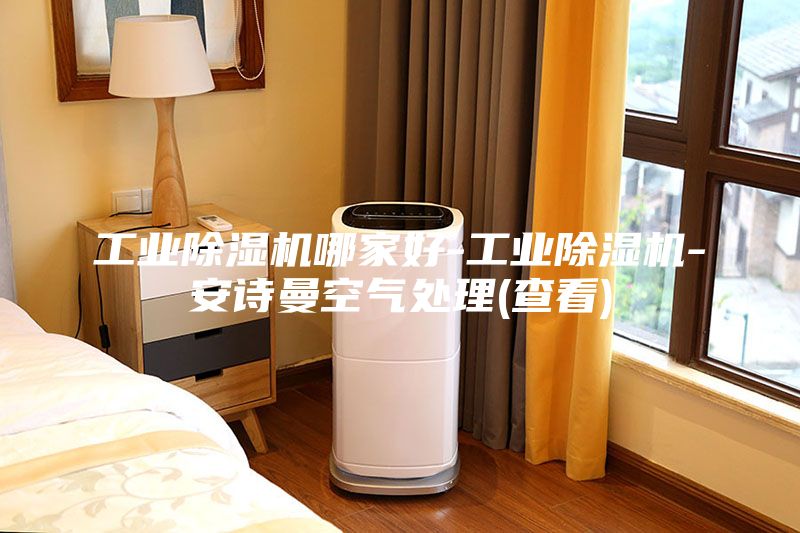 工業(yè)除濕機(jī)哪家好-工業(yè)除濕機(jī)-安詩曼空氣處理(查看)