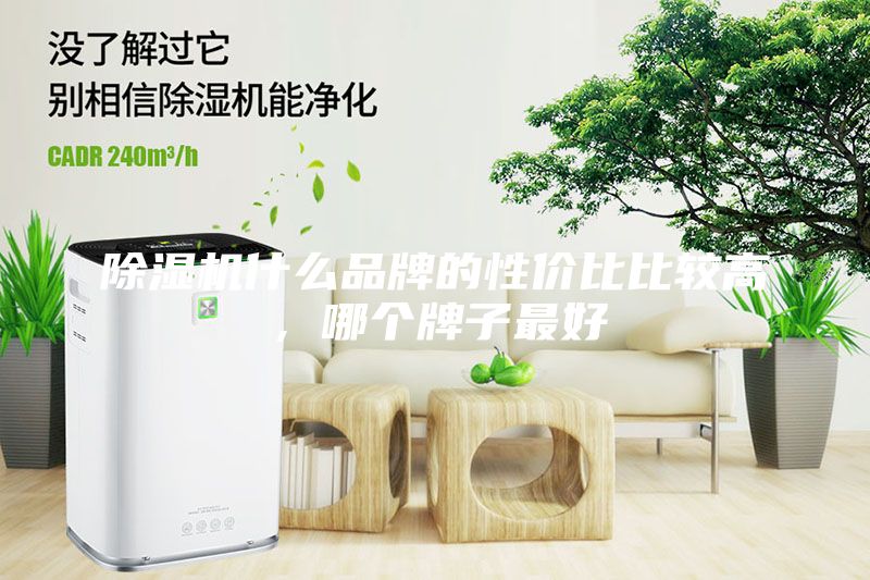 除濕機(jī)什么品牌的性價(jià)比比較高，哪個(gè)牌子最好