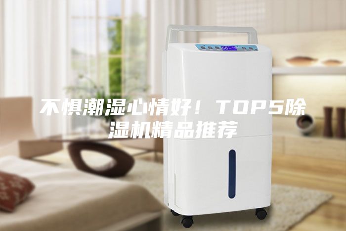 不懼潮濕心情好！TOP5除濕機(jī)精品推薦