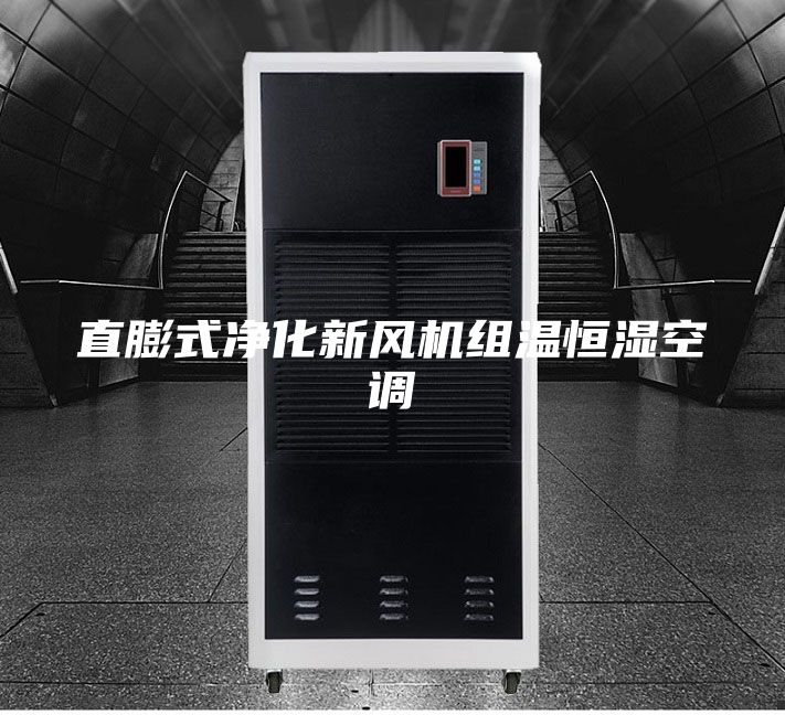 直膨式凈化新風(fēng)機組溫恒濕空調(diào)